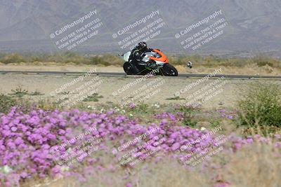 media/Feb-04-2023-SoCal Trackdays (Sat) [[8a776bf2c3]]/Turn 15 Inside Blooming (1050am)/